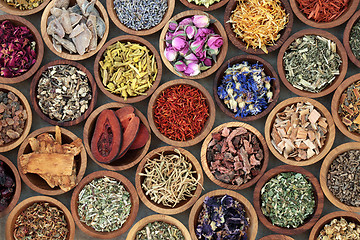 Image showing Herbal Medicine Selection