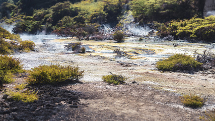 Image showing volcanic activities at waimangu