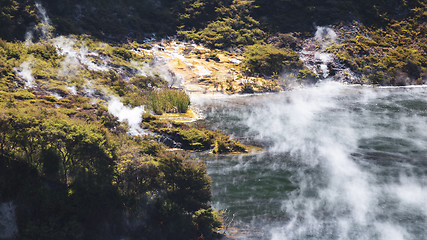 Image showing volcanic lake at waimangu