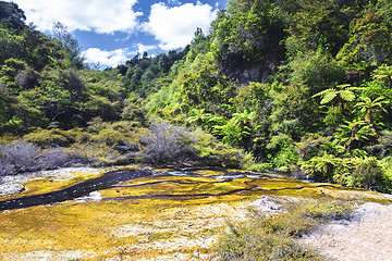 Image showing volcanic activities at waimangu