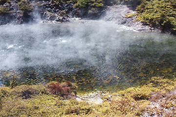 Image showing volcanic lake at waimangu