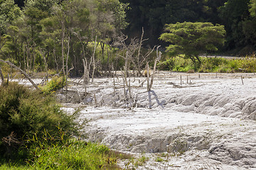 Image showing volcanic activities at waimangu