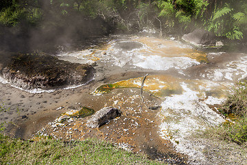 Image showing volcanic activities at waimangu