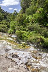 Image showing volcanic activities at waimangu