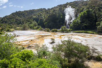 Image showing volcanic activities at waimangu