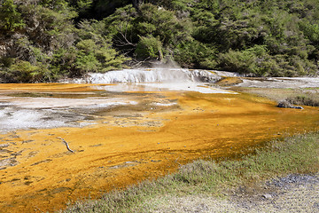 Image showing volcanic activities at waimangu