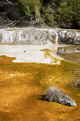 Image showing volcanic activities at waimangu