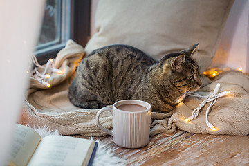 Image showing tabby cat lying on window sill with book at home