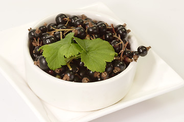 Image showing Black Currants with Leaves