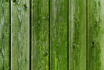 Image showing old wooden boards painted in green