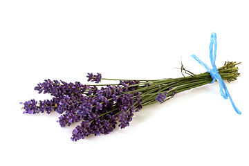 Image showing Bunch of Lavender