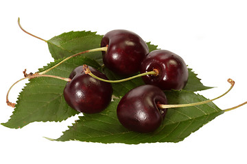 Image showing Close Up of Black Cherries