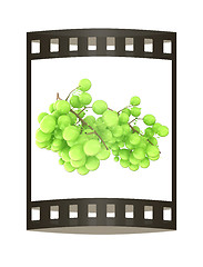 Image showing Healthy fruits Green wine grapes isolated white background. Bunc