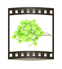 Image showing Healthy fruits Green wine grapes isolated white background. Bunc