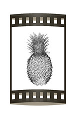 Image showing Pineapple isolated on white background.3d illustration. The film