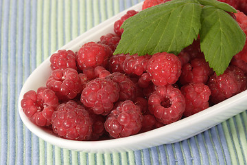 Image showing Plate of Raspberries