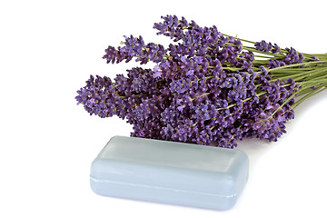 Image showing Soap of Lavender