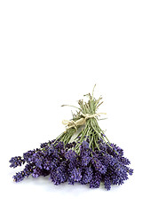 Image showing Bouquet of Lavender