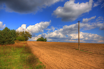 Image showing Ploughed field at late summer