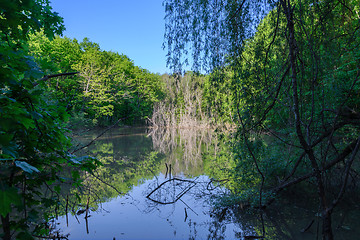 Image showing The forest lake