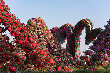 Image showing Dubai miracle garden