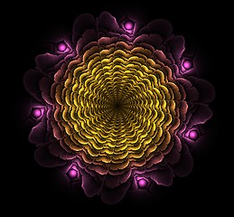 Image showing Beautiful abstract fractal flower