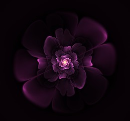 Image showing Beautiful abstract fractal flower