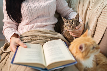 Image showing red and tabby and owner reading book at home