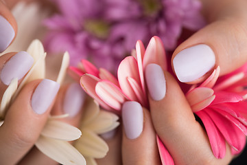 Image showing woman hands with manicure holding flower