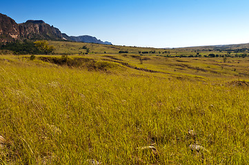 Image showing Savanna and rock formations. Madagascar