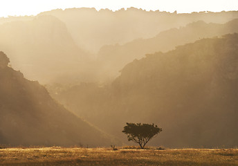 Image showing Morning landscape with tree and rock formations. Madagascar