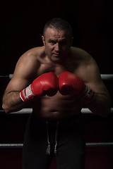 Image showing professional kickboxer in the training ring