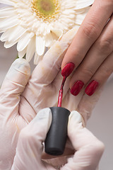 Image showing Woman hands receiving a manicure