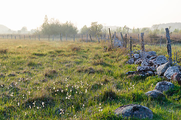 Image showing Old fence in a beautiful pastureland