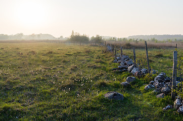 Image showing Misty evening in a beautiful  pastureland