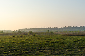 Image showing Misty springtime evening in a grassland