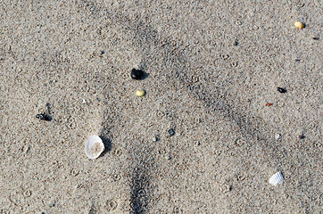 Image showing Sand beach closeup