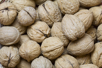 Image showing Walnuts pattern