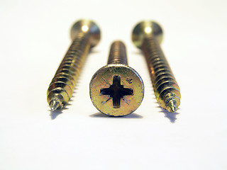 Image showing Three Screws