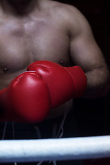 Image showing kick boxer with a focus on the gloves