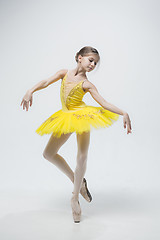 Image showing Young classical dancer on white background.