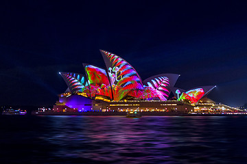 Image showing Sydney Opera House illuminated with beautiful vibrant imagery at