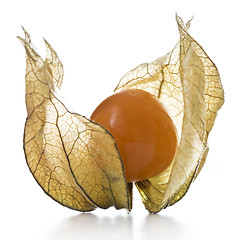 Image showing Physalis, fruit with papery husk