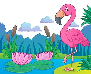 Image showing Flamingo topic image 5