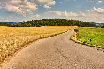 Image showing Road through farmlands