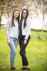 Image showing Two sisters having fun in the park