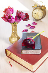 Image showing Holy Bible and old gold alarm clock on wood table