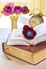 Image showing Holy Bible and old gold alarm clock on wood table