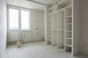 Image showing A cat walks through an empty room in a new building