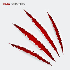 Image showing Scratch Claws of Animal